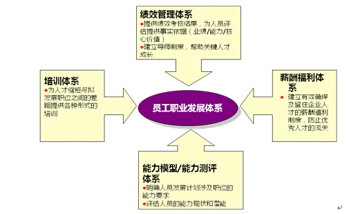 員工職業發展體系